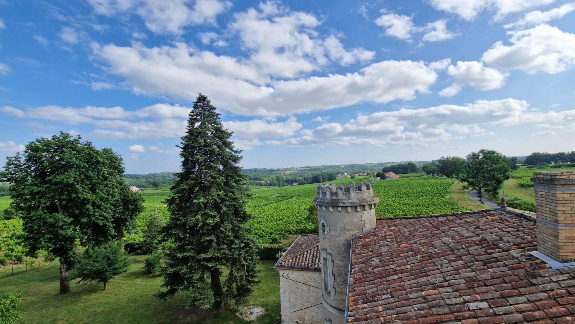 La Maison Du Seguy Saint-Ciers-de-Canesse 外观 照片