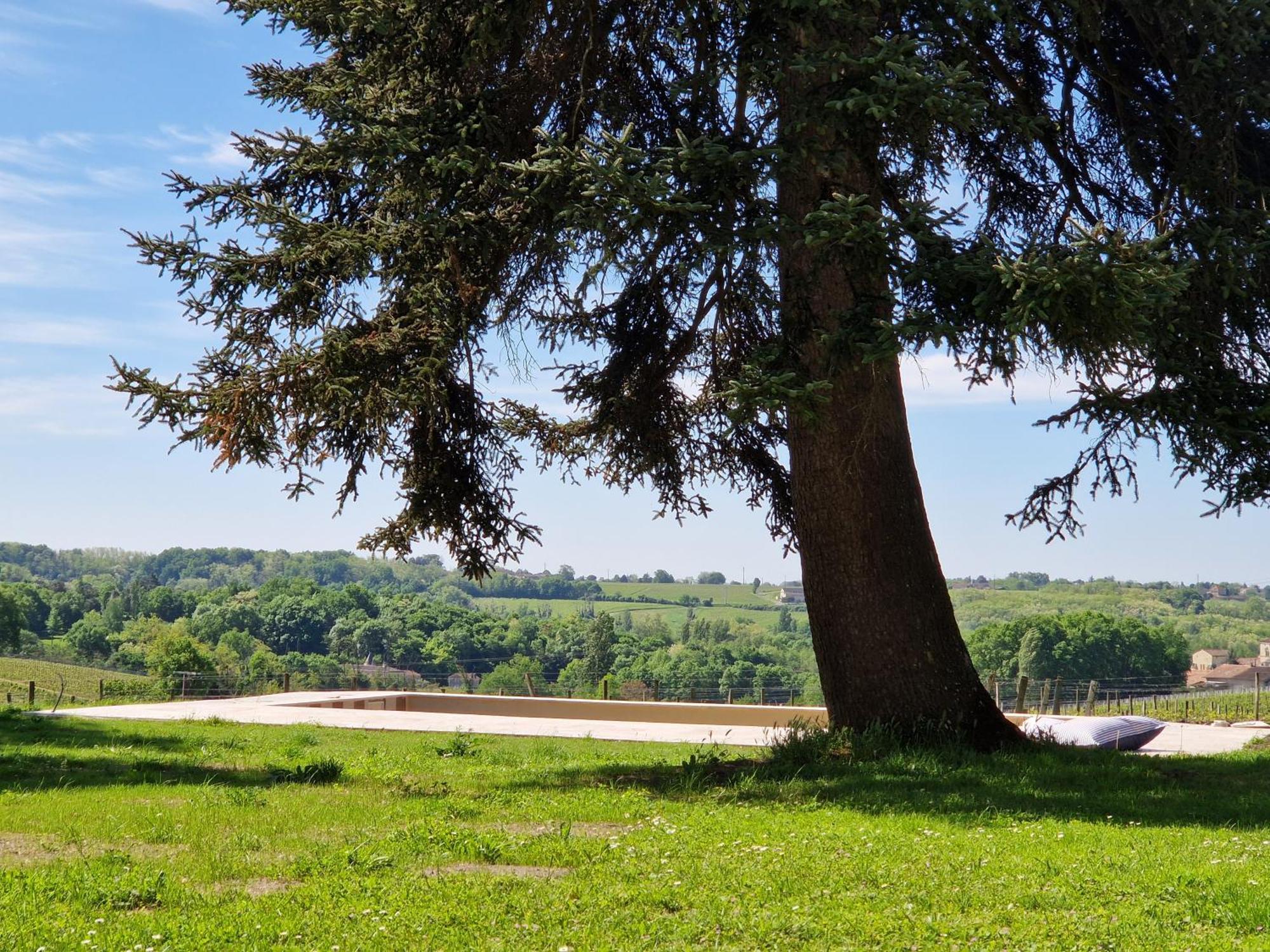 La Maison Du Seguy Saint-Ciers-de-Canesse 外观 照片